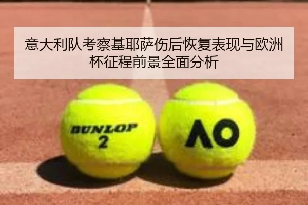 意大利队考察基耶萨伤后恢复表现与欧洲杯征程前景全面分析